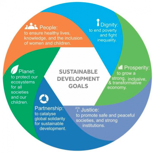 UN Secretary-General’s New Symbol for Sustainable Development: the “Rosette”